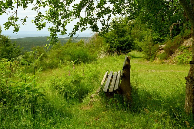 为了更直观 为了更直观