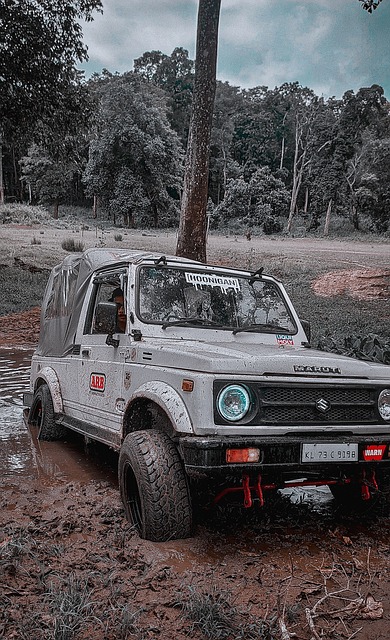 进行更高水 进行更高水