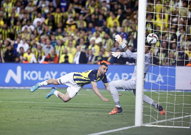 處的美麗幻 處的美麗幻