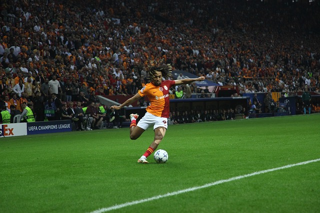 他的职业生 他的职业生