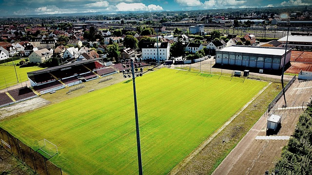 表现无疑为 表现无疑为