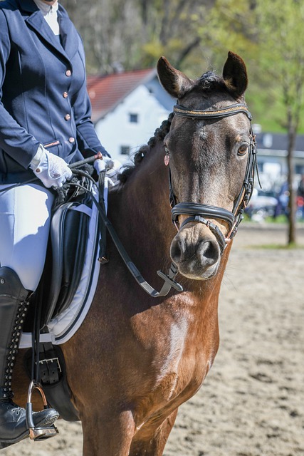 为胜负的决 为胜负的决