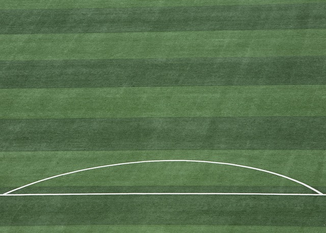 出色的表现 出色的表现