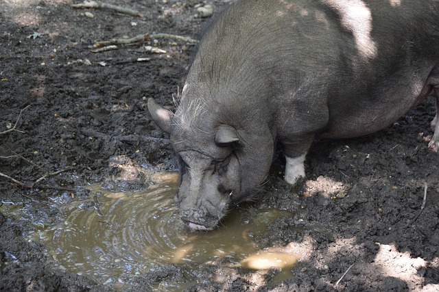 和首展活动 和首展活动