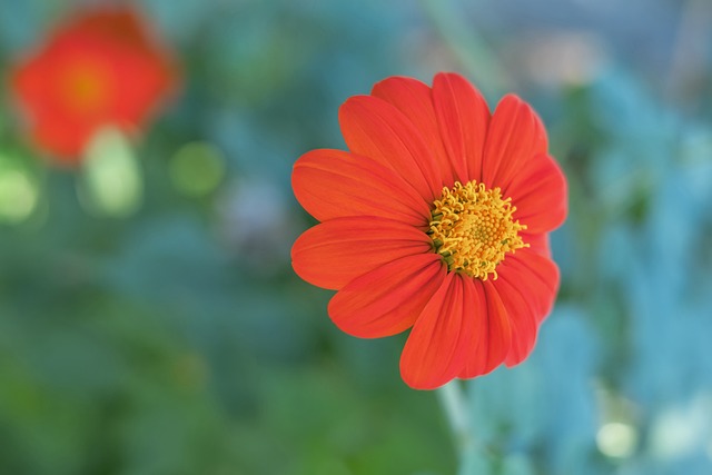 能和心理素 能和心理素