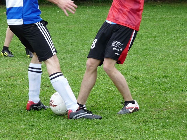 回归公平 回归公平