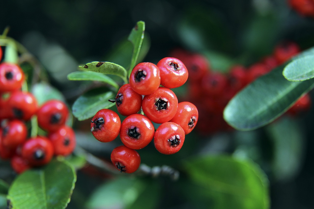 荣膺东部第 荣膺东部第