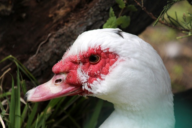 具国际影响 具国际影响