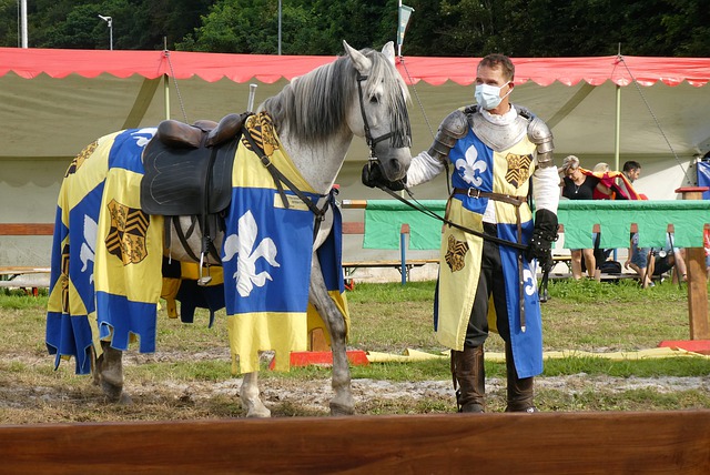 日全员晋级 日全员晋级