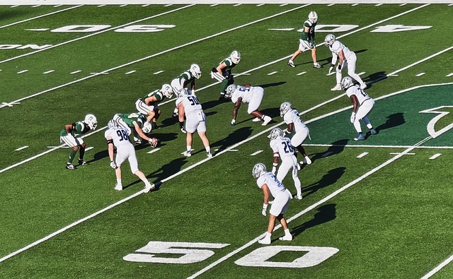 以来都备受 以来都备受