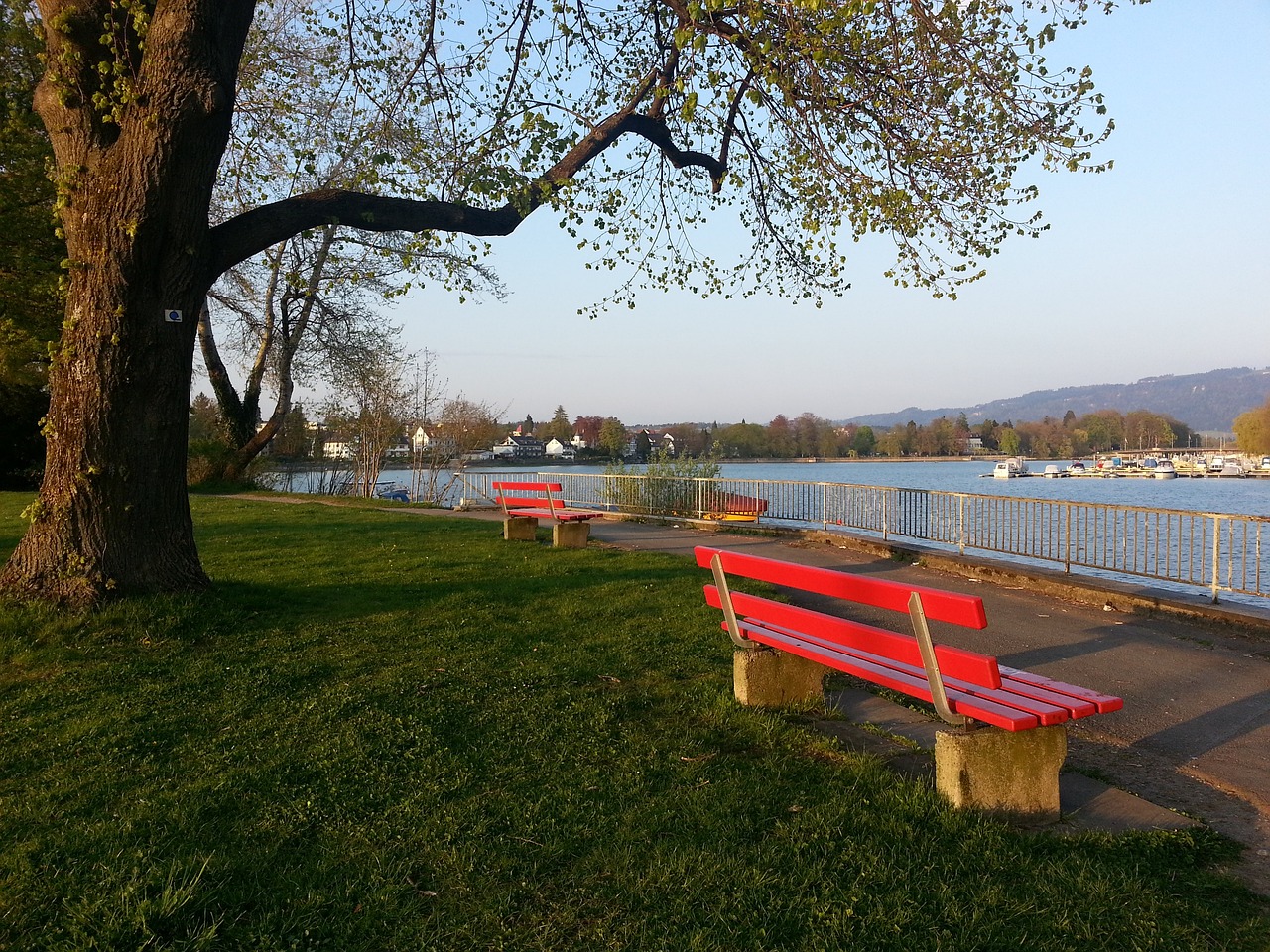 是赛场上的 是赛场上的