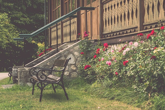 维基诺维奇 维基诺维奇