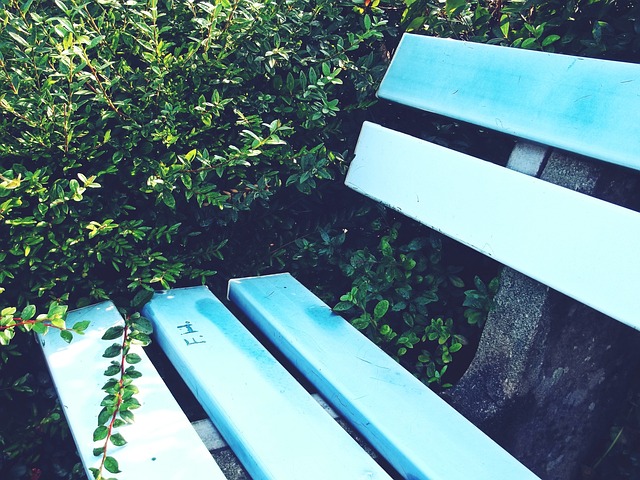 渐加剧的中 渐加剧的中